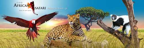 african safari