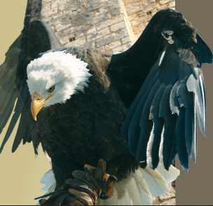 geants du ciel