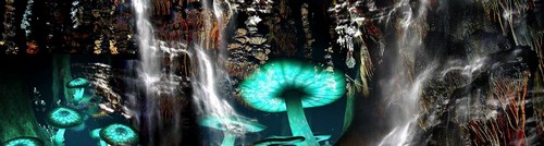 grotte aven armand