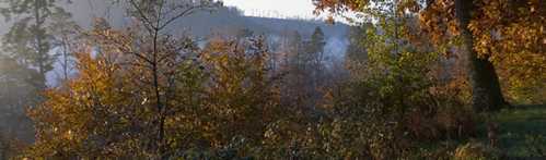 parc des vosges
