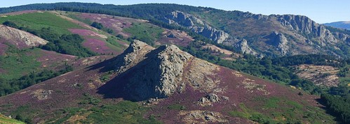 parc haut languedoc