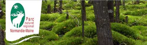 parc normandie maine