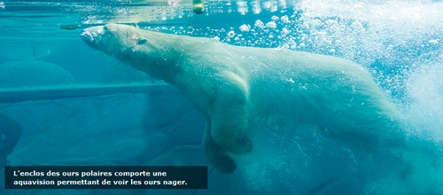 parc zoologique mulhouse