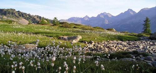 parc du mercantour